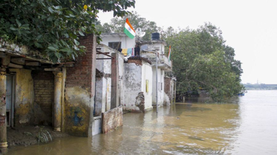 दिल्ली एनसीआर में झमाझम बारिश: यमुना का जलस्तर फिर बढ़ा, खेतों और घरों में घुसा पानी