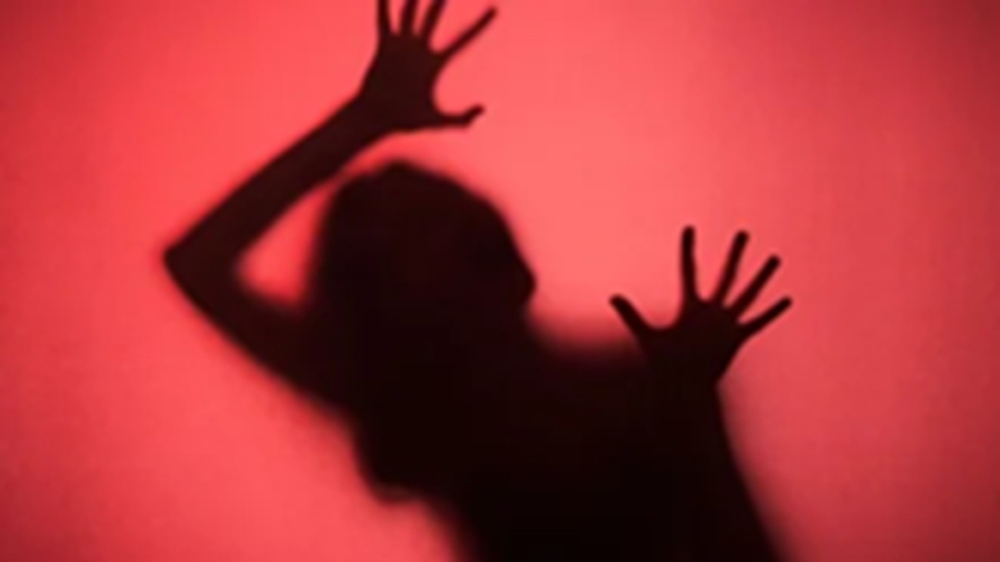 उदयपुर के प्राइवेट स्कूल में जिम ट्रेनर पर नाबालिग से दुष्कर्म का आरोप, आरोपी फरार