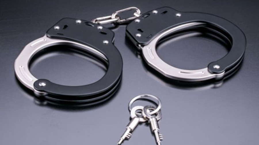 डीजीजीआई मुंबई ने डेटा विश्लेषण व जांच से शेल कंपनियों के बड़े रैकेट का खुलासा किया।