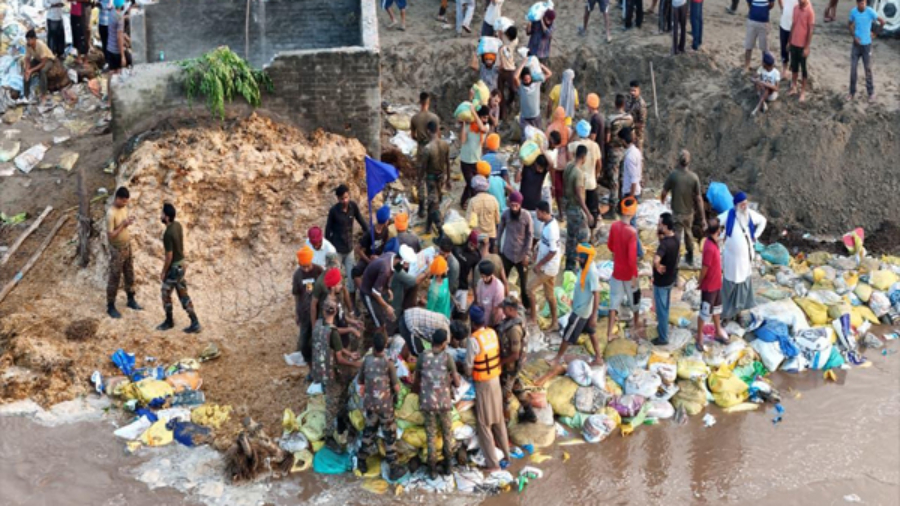 बाढ़ में फंसे पंजाब की उम्मीद बनी भारतीय सेना, युद्धस्तर पर राहत और बचाव कार्य जारी