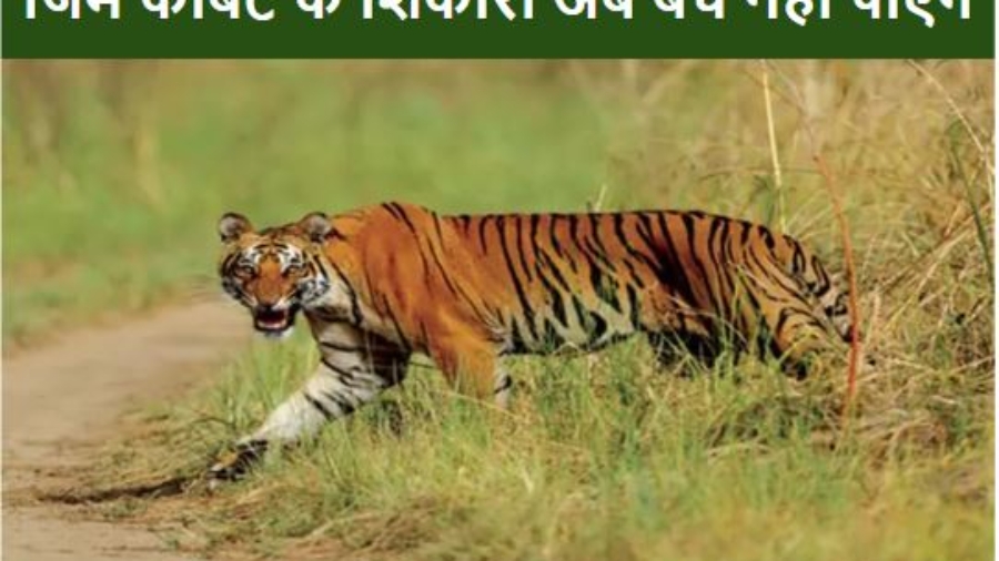 कॉर्बेट टाइगर रिजर्व में बाघ शिकार मामलाः 7 साल बाद सीबीआई जांच की रोक हटने के करीब, सुप्रीम कोर्ट ने जारी किए नोटिस