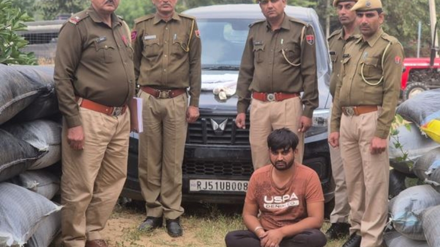 नागौर में ऑपरेशन नीलकण्ठ की बड़ी सफलता, 64 लाख का डोडाचूरा जब्त—एक गिरफ्तार, तीन आरोपी फरार