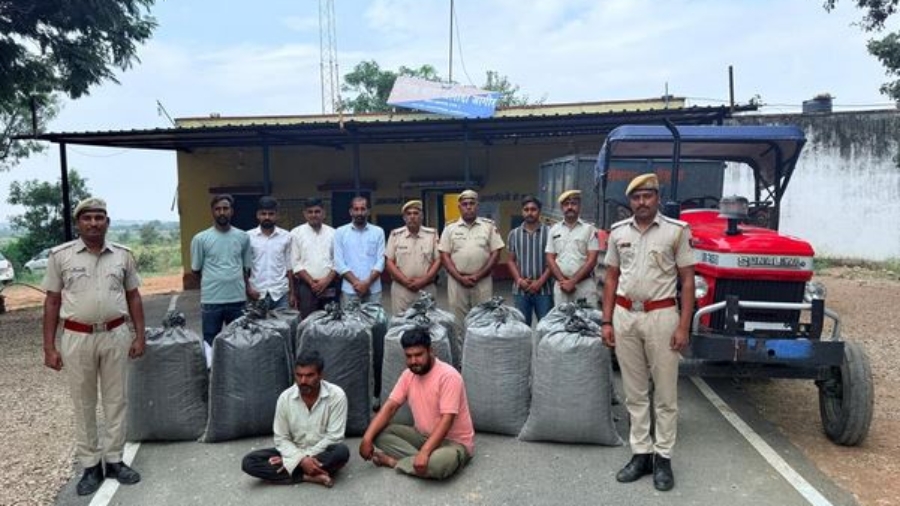 डीएसटी और जलोदा जागीर पुलिस ने ₹50 लाख का 331 किलो अवैध डोडा चूरा जब्त किया, 2 तस्कर गिरफ्तार