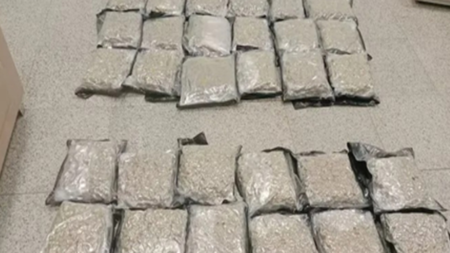 हैदराबाद एयरपोर्ट पर कस्टम की बड़ी कार्रवाई, 14 करोड़ रुपए की हाइड्रोपोनिक गांजा जब्त