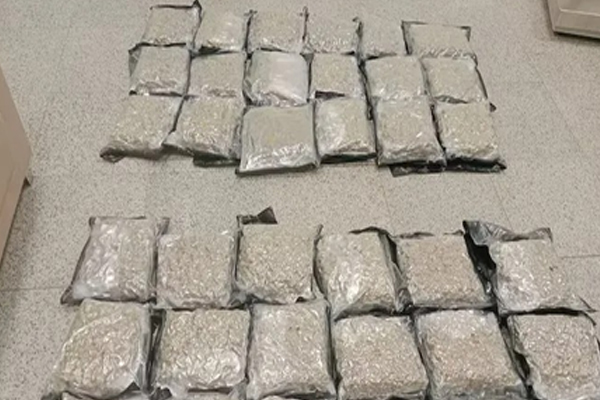 हैदराबाद एयरपोर्ट पर कस्टम की बड़ी कार्रवाई, 14 करोड़ रुपए की हाइड्रोपोनिक गांजा जब्त