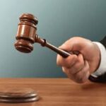 दौसा : लोक अदालत का बड़ा फैसला—बीमा कंपनी को मृत भैंस का क्लेम 6% ब्याज के साथ देने का आदेश