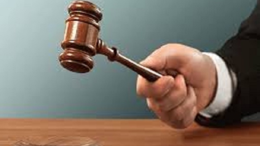 दौसा : लोक अदालत का बड़ा फैसला—बीमा कंपनी को मृत भैंस का क्लेम 6% ब्याज के साथ देने का आदेश