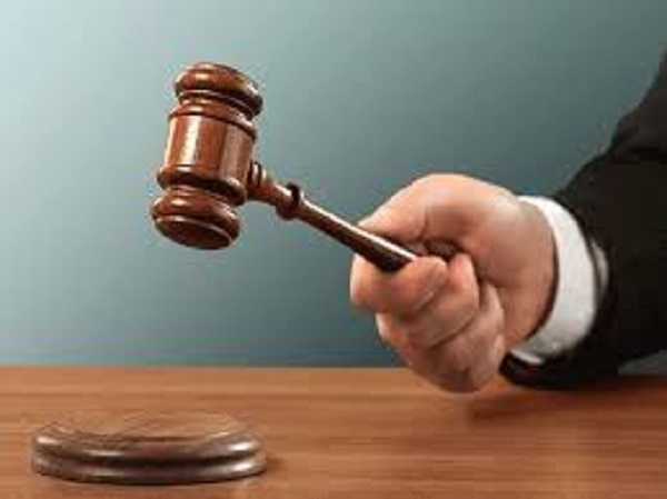 दौसा : लोक अदालत का बड़ा फैसला—बीमा कंपनी को मृत भैंस का क्लेम 6% ब्याज के साथ देने का आदेश