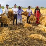 दौसा: बेमौसम बारिश से मौसम हुआ खुशनुमा, लेकिन किसानों पर बरसी आफत